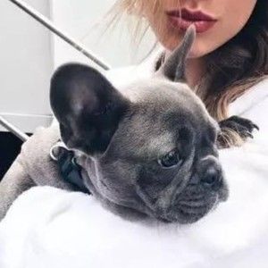 Meet your Posher, Charlene